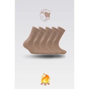 Nova Socks 5'li Kışlık Lambswool Kadın Yün Çorap