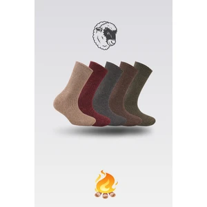 Nova Socks 5'li Kışlık Lambswool Kadın Yün Çorap
