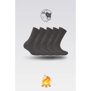 Nova Socks 5'li Kışlık Lambswool Kadın Yün Çorap