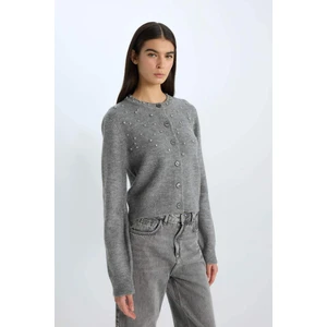 Regular Fit Bisiklet Yaka Düğmeli Taşlı Triko Hırka E0772AX24WN