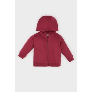 Kız Bebek Kapüşonlu Basic Düz İçi Yumuşak Tüylü Fermuarlı Sweatshirt D0750A524AU