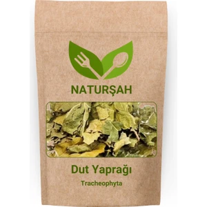 Dut Yaprağı (Tracheophyta) 1 kg