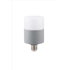 Zmr 20 Watt Oval Dekoratif LED Ampul E27 Beyaz Işık 6500 K -114 311093