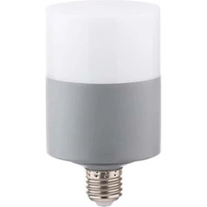 Zmr 40 Watt Oval Dekoratif LED Ampul E27 Beyaz Işık 6500 K -116 311073