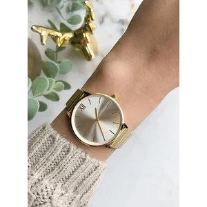 Spectrum Premium Spectrum Çelik Kordon Altın Renk Kadın Kol Saati ST9041AF