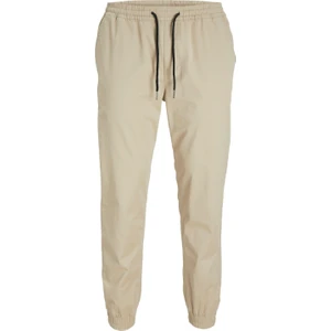 Jack Jones Gordon Erkek Pantolon 12182548