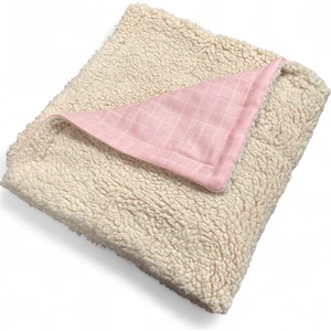 Welsoft & Müslinli Bebek Battaniyesi, Çift Taraflı Kullanım, Teddy Kumaş Kışlık Battaniyesi