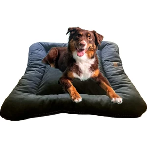 Petty Comfort Çift Taraflı Köpek Yatağı Minderi-Orta Irk-Büyük Irk Köpek Yatağı Minderi-Yıkanabilir-Elyaf Dolgulu
