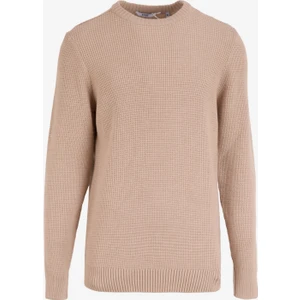 Bisiklet Yaka Normal Örgü Desenli Bej Erkek Kazak M4WM-KZK-1998