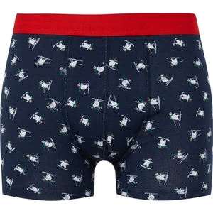 Erkek Yılbaşı Temalı Boxer E0040AX24CW