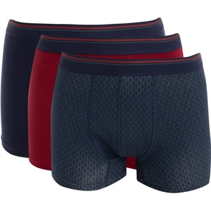 Regular Fit Kareli 3'lü Boxer C9561AX24WN