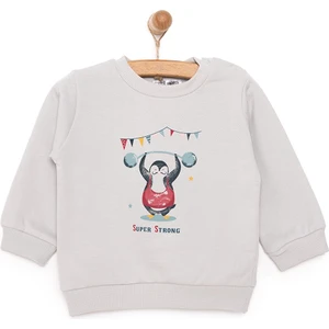 HelloBaby Basic Az Şardonlu Penguen Baskılı Sweatshirt Erkek Bebek