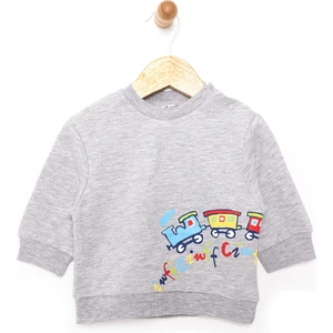 Basic Az Şardonlu Aslan Desenli Sweatshirt Erkek Bebek