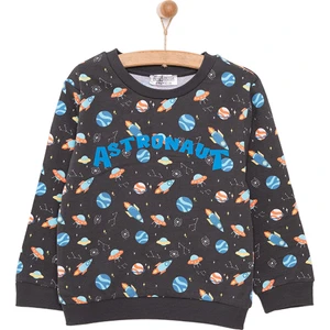 Basic Az Şardonlu Aslan Desenli Sweatshirt Erkek Bebek