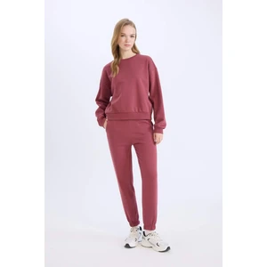 Regular Fit 2'li Takım Kalın Bisiklet Yaka Sweatshirt Esnek Belli Jogger Eşofman Altı D8022AXNS