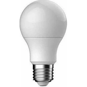 12V-24V 10W 3000K Ac-Dc E27 LED Normal Gün Işığı 5 ADET