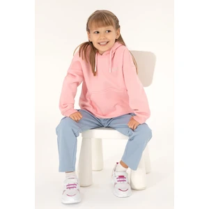 U.S. Polo Assn. Kız Çocuk Pudra Basic Kapüşonlu Sweatshirt 50297438-VR042