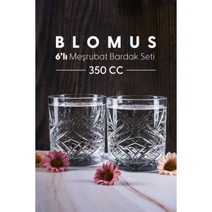 Blomus 6'lı Cam Meşrubat Bardak Seti Kristal Vintage Bardak 350 cc