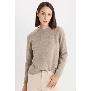 Regular Fit Bisiklet Yaka Basic Düz Triko Kazak D0035AX24WN