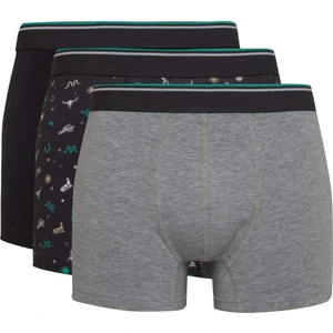 Erkek Desenli 3lü BOXER C9536AX24AU
