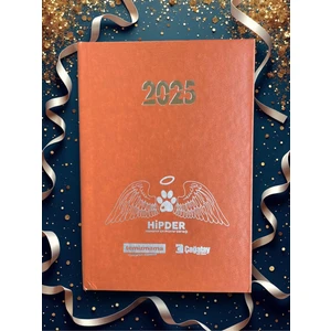 2025 Ajanda