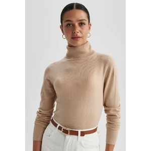 Regular Fit Yumuşak Dokulu Balıkçı Yaka Basic Düz Triko Kazak H1651AZ23WN