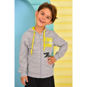 King Land Gri Kapüşonlu Erkek Çocuk Sweatshirt