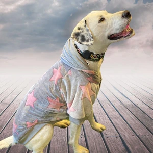 Biggie Orta-Büyük Irk Köpek Pofuduk Sweatshirt