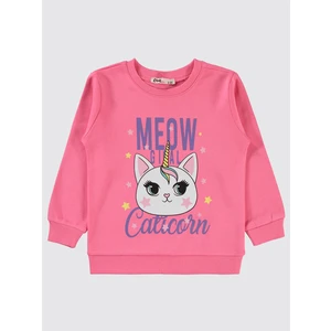Civil Girls Kız Çocuk Sweatshirt 2-5 Yaş Pembe Sıklamen