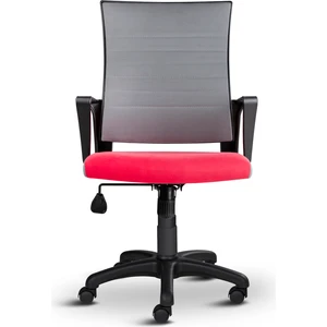 Asbir Mobilya Rigel 55100 Çalışma Koltuğu Ofis Koltuğu Bilgisayar Koltuğu