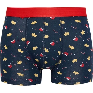 Erkek Yılbaşı Temalı Boxer E0041AX24CW