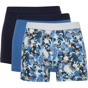 Regular Fit Hayvan Baskılı 3'lü Boxer C9537AX24WN