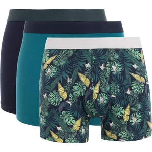 Regular Fit Baskılı 3'lü Boxer C9568AX24AU