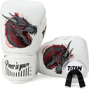 Titan Sport Ejderha Desenli Setli Fgr Model-11 Boks Eldiveni