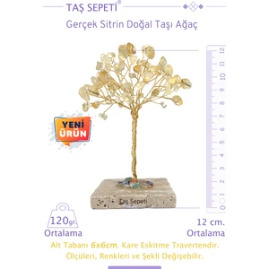 Taş Sepeti Gerçek Sitrin Doğal Taşı Ağaç