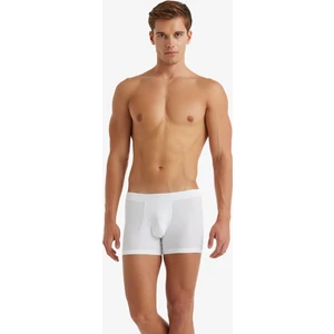 Erkek Modal Elastan Boxer Silver 9310 - Beyaz