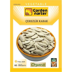 Garden Narter Çerezlik Kabak Tohumu Doğal Organik Çerezlik Çekirdek Tohumu Pakette 10 gr 40 Tohum