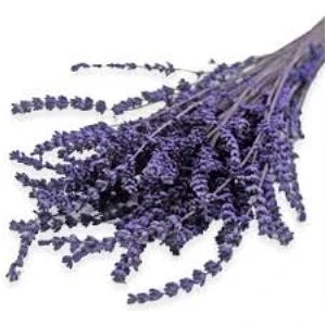 Çivit Moru Şoklanmış Lavanta Demeti 40-50 cm