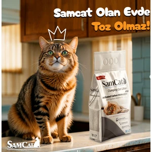 Aktif Karbonlu Topaklaşan Kedi Kumu 10L