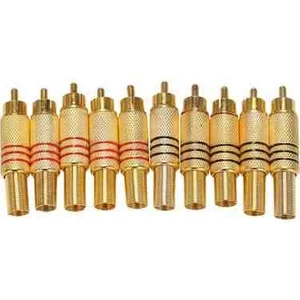 Rca Erkek Gold Jak 10 Adet