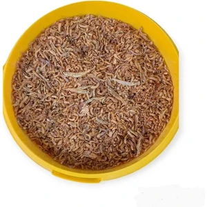 Raffy I Gammarus 1000 ml 130 gr Açık Yem ( Kilitli Poşette Gönderilir)