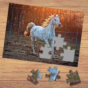 Ormanda Koşan Beyaz At Çocuklara Özel Puzzle Yapboz TABLO-3591161