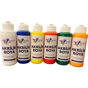 Birdy's Color Akrilik Boya 6'lı Set 6X120 ml Sanatsal Renkler - Ana Renk