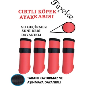 Cırtlı Köpek Ayakkabısı Kırmızı