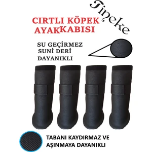 Tineke  Cırtlı Köpek Ayakkabısı Siyah