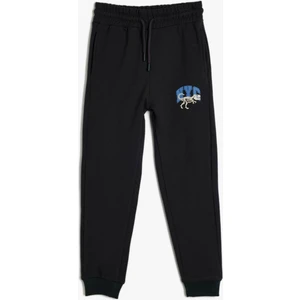 Baskılı Regular Fit Jogger Eşofman Altı