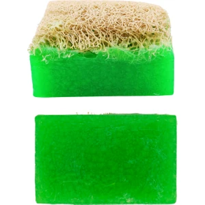 Kabak Lifli Aloe Vera Sabunu 100 Gr