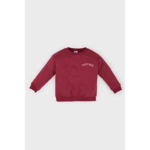 Kız Bebek Bisiklet Yaka Baskılı Sweatshirt D0737A524AU