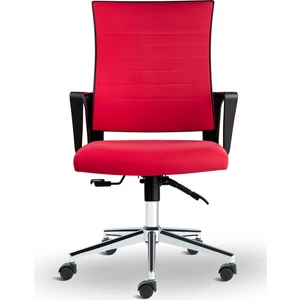 Asbir Mobilya Rigel Plus 55400 Ev ve Ofis Koltuğu Çalışma Koltuğu