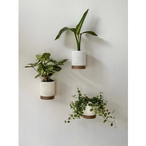 3'lü Modern Duvar Saksısı